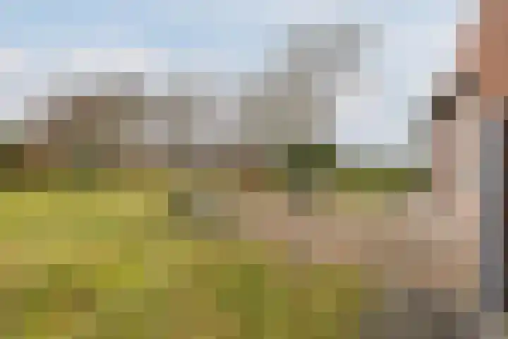 Kalkwijk 14 Daarlerveen thumbnail 50