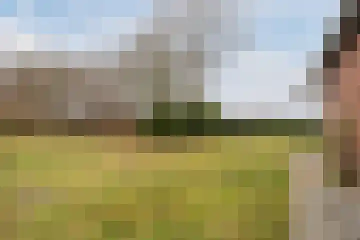 Kalkwijk 14 Daarlerveen thumbnail 51
