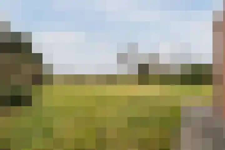 Kalkwijk 14 Daarlerveen thumbnail 52