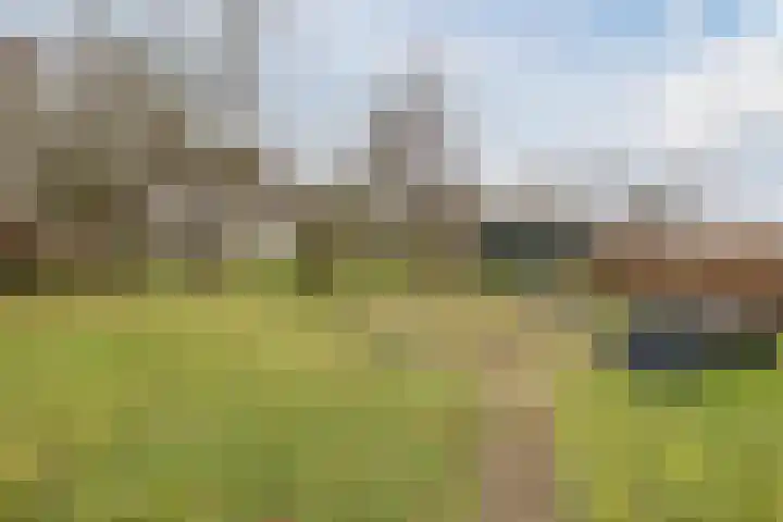 Kalkwijk 14 Daarlerveen thumbnail 53