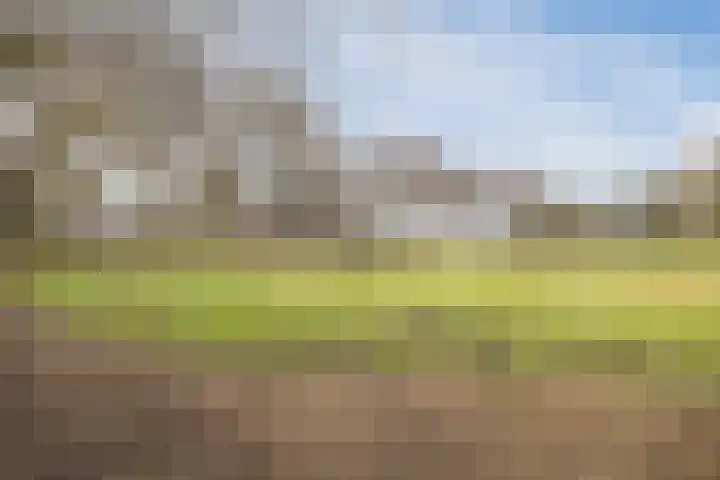 Kalkwijk 14 Daarlerveen thumbnail 54
