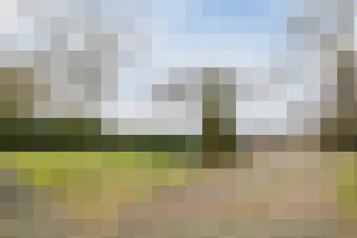 Kalkwijk 14 Daarlerveen thumbnail 57