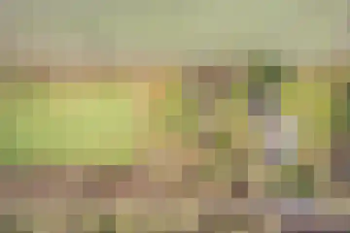 Kalkwijk 14 Daarlerveen thumbnail 58