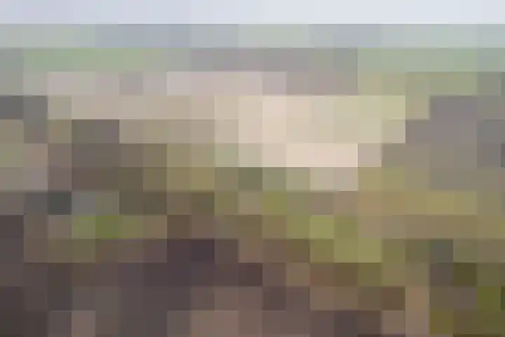 Kalkwijk 14 Daarlerveen thumbnail 59