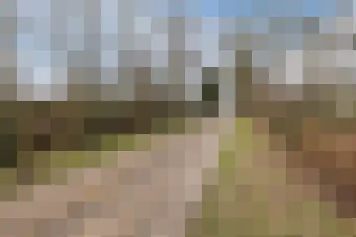 Kalkwijk 14 Daarlerveen thumbnail 61