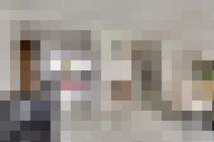 Kalkwijk 41 Hoogezand thumbnail 13
