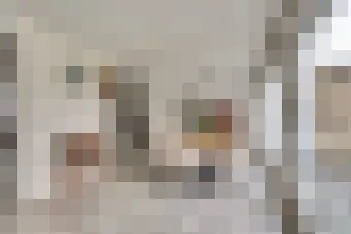 Kalkwijk 41 Hoogezand thumbnail 14