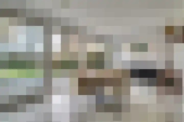 Kalkwijk 41 Hoogezand thumbnail 16