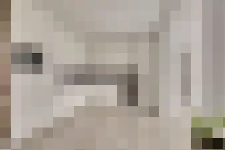 Kalkwijk 41 Hoogezand thumbnail 18