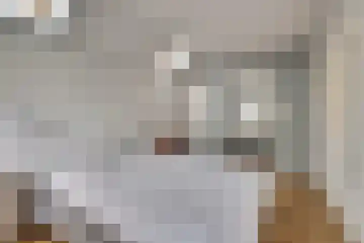Kalkwijk 41 Hoogezand thumbnail 24