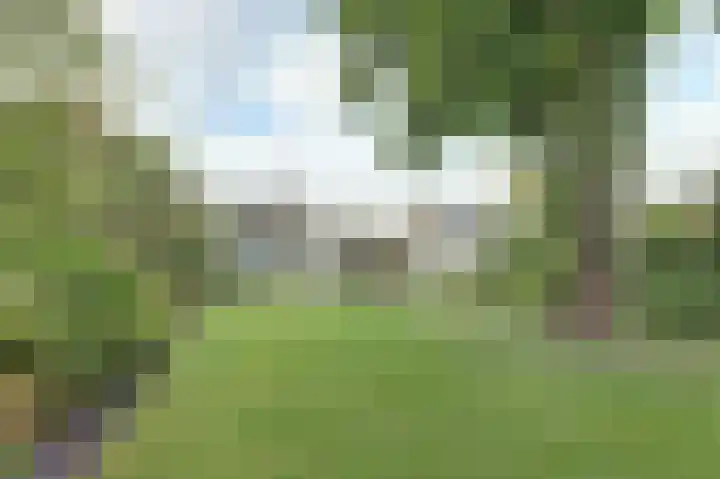 Kalkwijk 41 Hoogezand foto 3