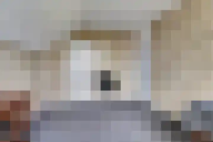 Kalkwijk 41 Hoogezand thumbnail 30