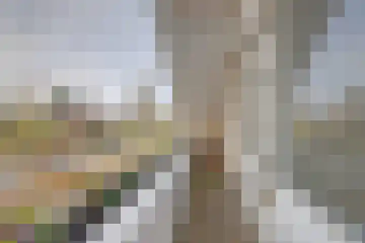 Kalkwijk 41 Hoogezand thumbnail 36
