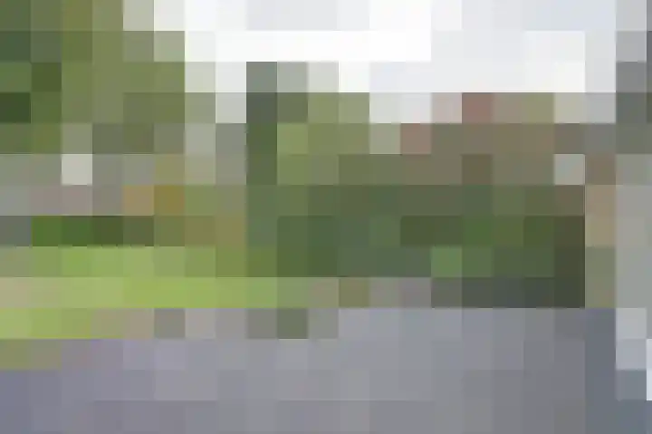 Kalkwijk 41 Hoogezand thumbnail 4