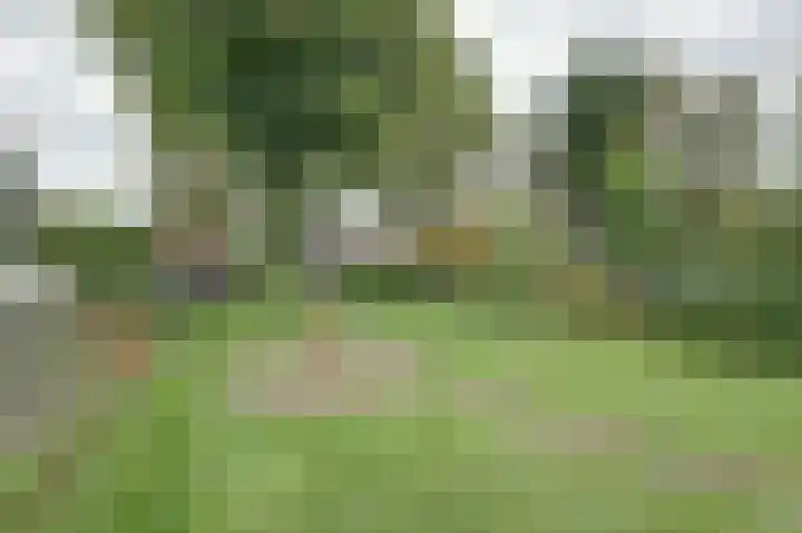 Kalkwijk 41 Hoogezand thumbnail 40