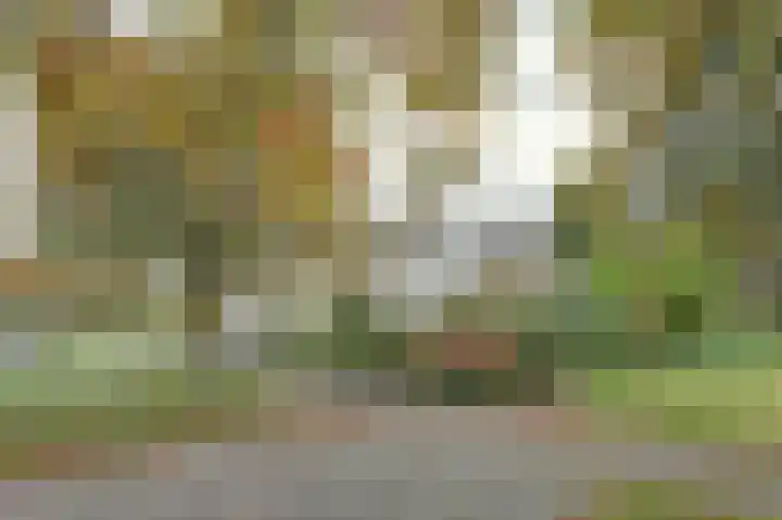 Kalkwijk 41 Hoogezand thumbnail 42