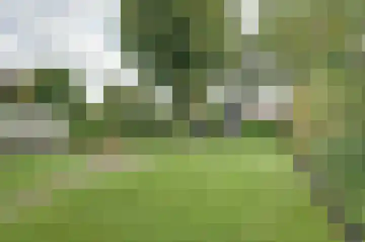 Kalkwijk 41 Hoogezand thumbnail 5