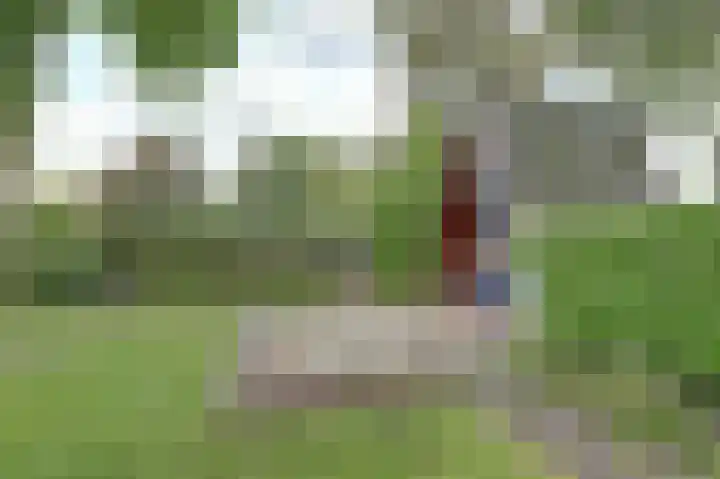 Kalkwijk 41 Hoogezand thumbnail 6