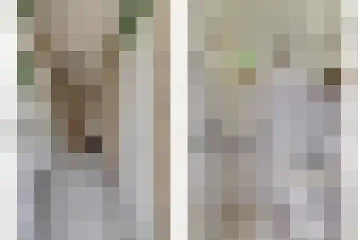 Kalkwijk 41 Hoogezand thumbnail 7