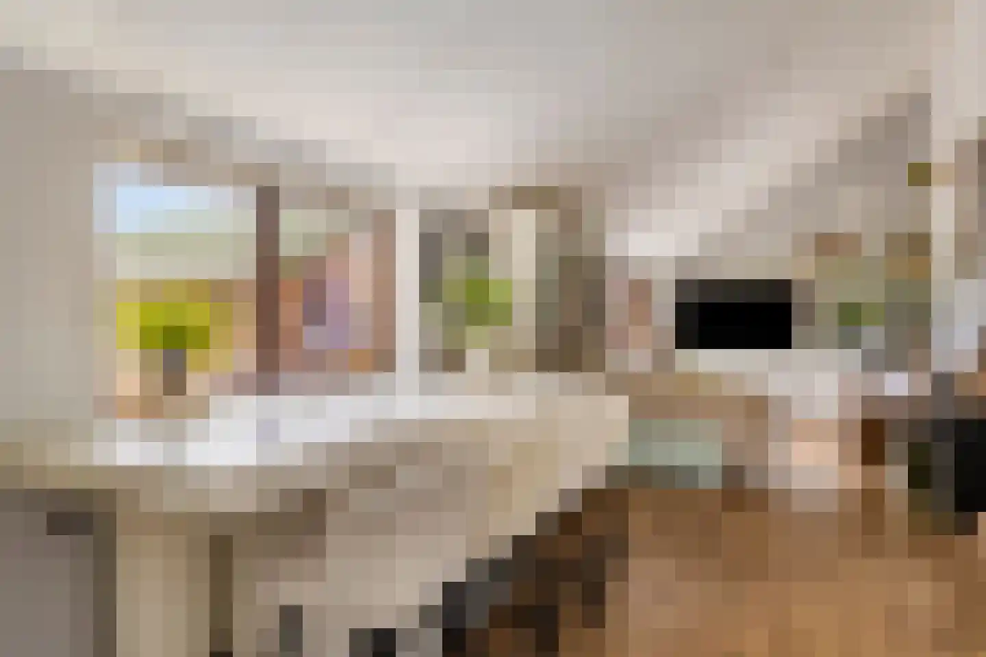 Kalkwijk 46 A Hoogezand thumbnail 14