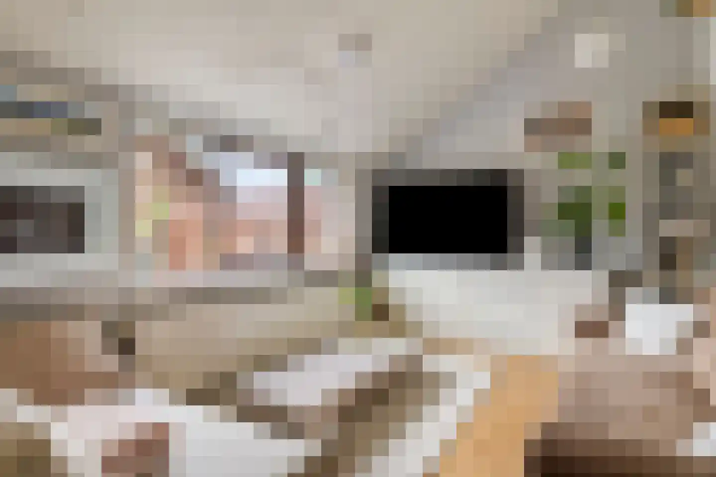 Kalkwijk 46 A Hoogezand thumbnail 16