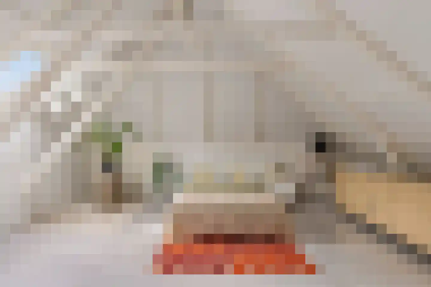 Kalkwijk 46 A Hoogezand thumbnail 23