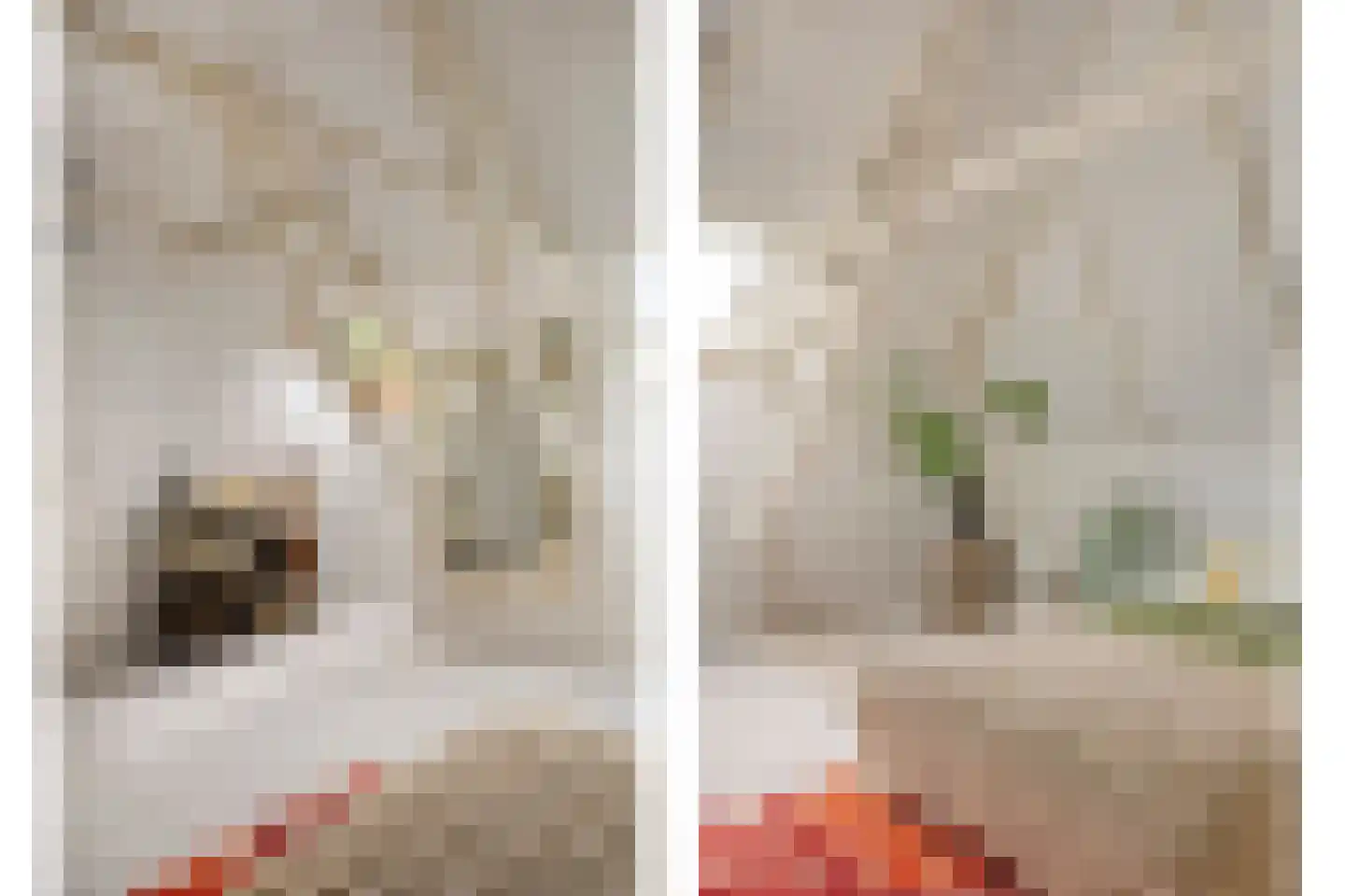 Kalkwijk 46 A Hoogezand thumbnail 25