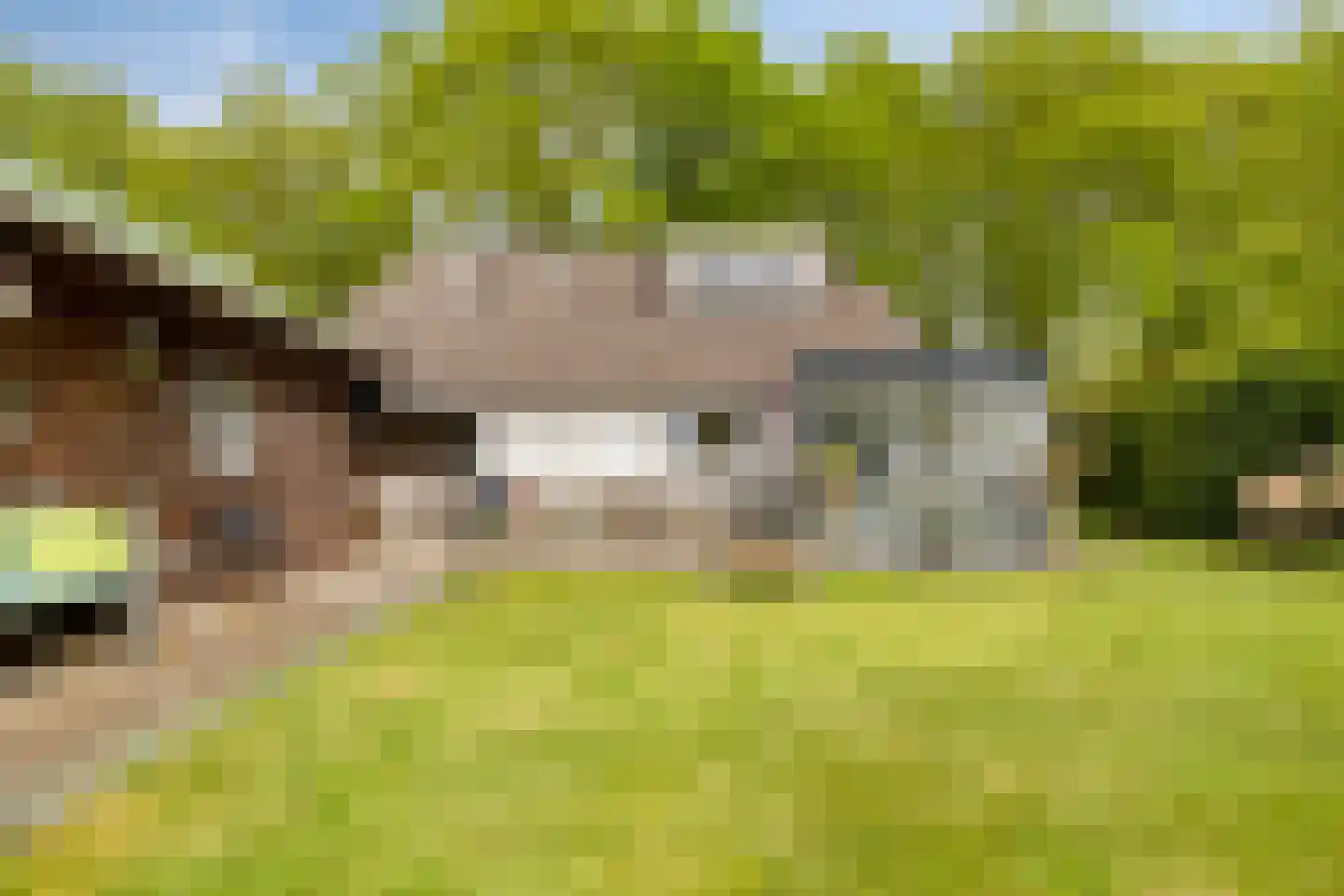 Kalkwijk 46 A Hoogezand thumbnail 32