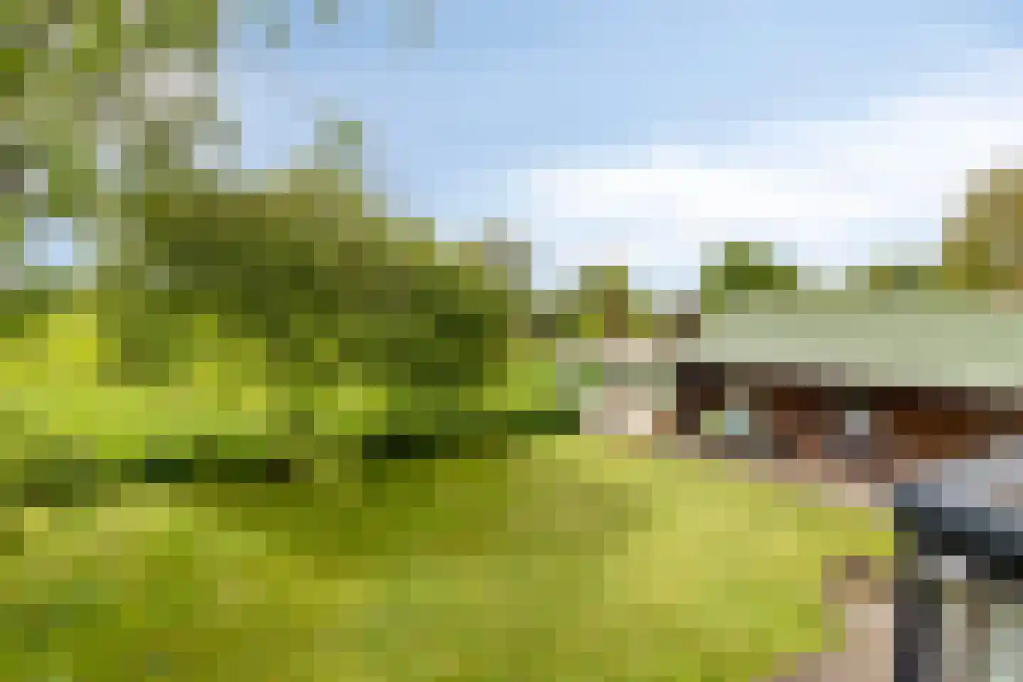 Kalkwijk 46 A Hoogezand thumbnail 34