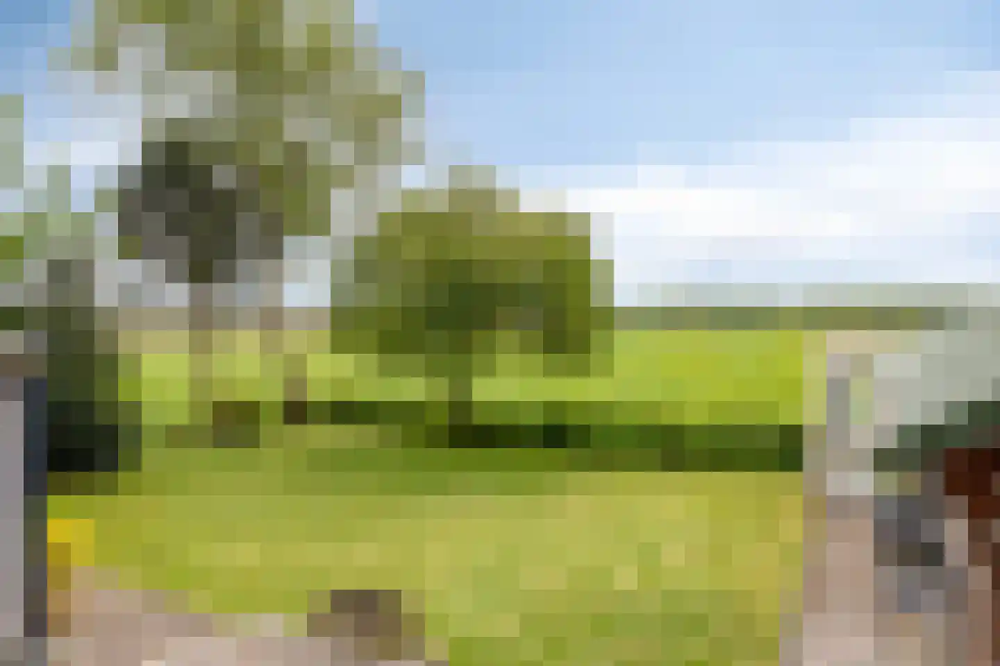 Kalkwijk 46 A Hoogezand thumbnail 35