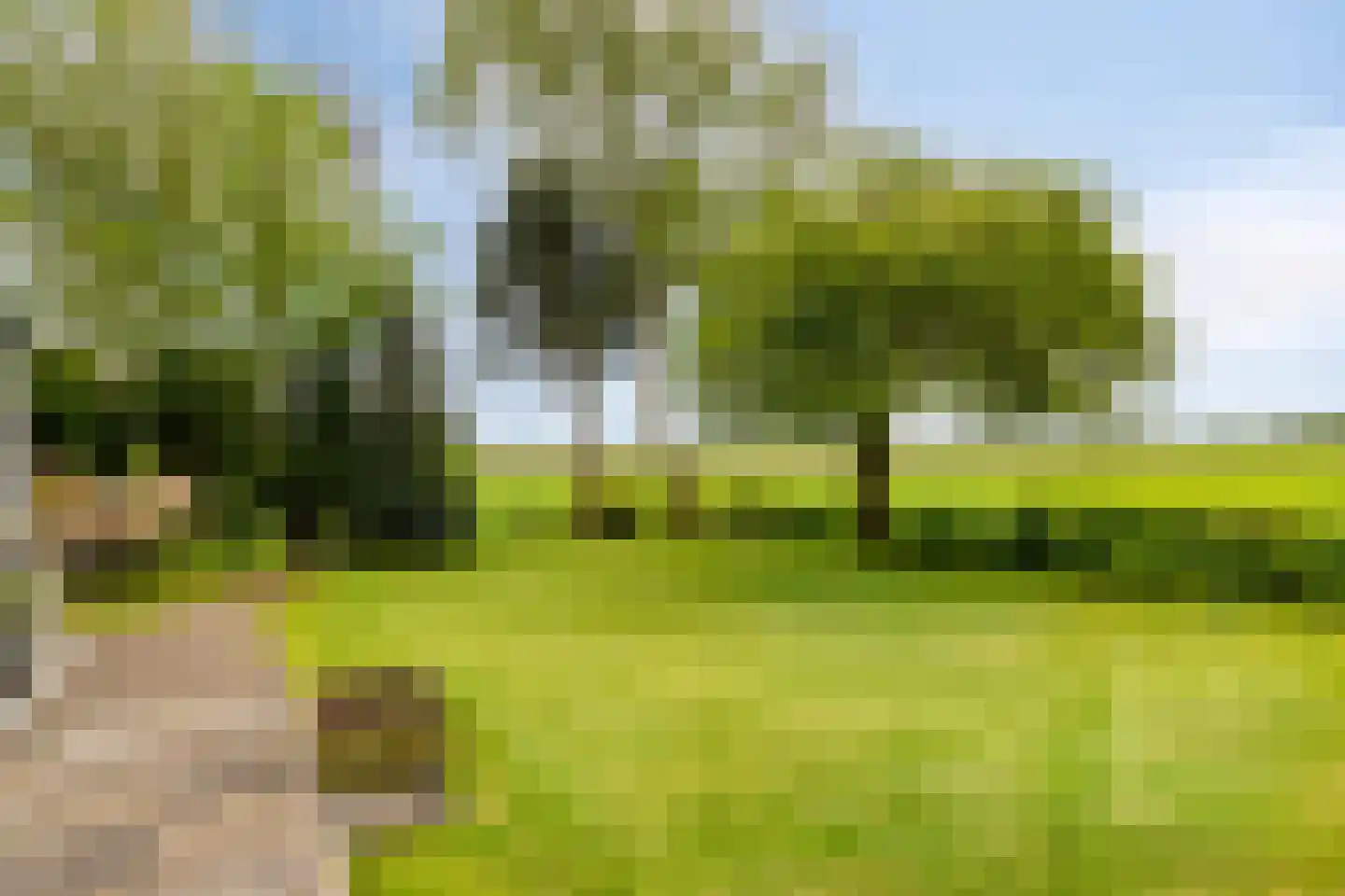 Kalkwijk 46 A Hoogezand thumbnail 36