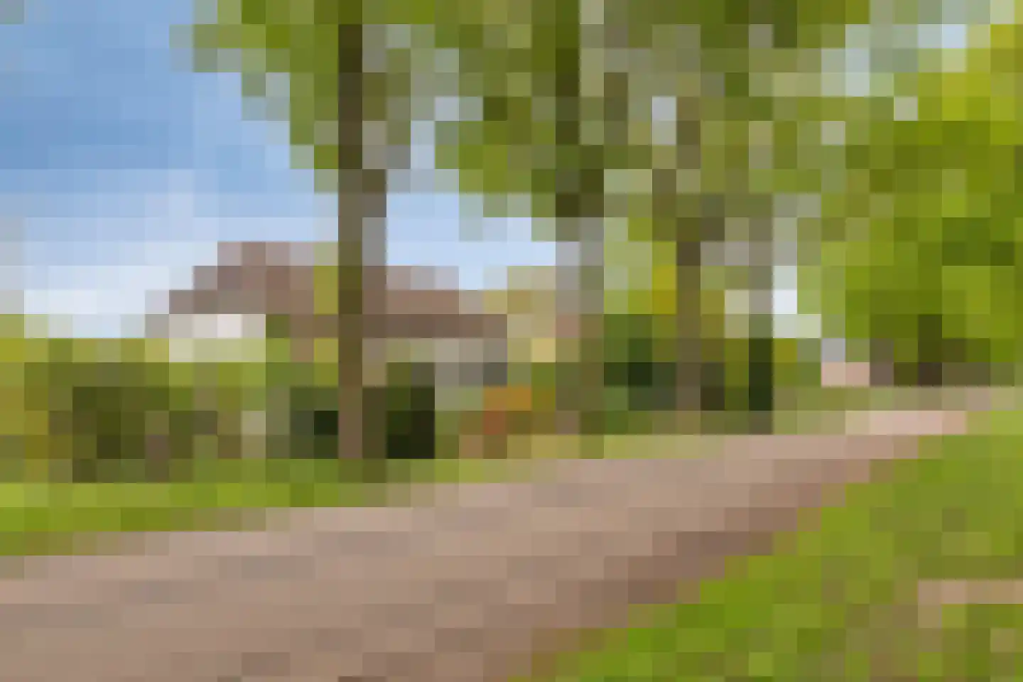 Kalkwijk 46 A Hoogezand thumbnail 39
