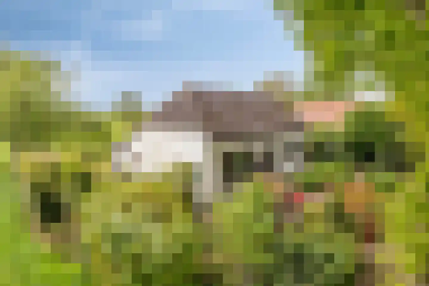 Kalkwijk 46 A Hoogezand thumbnail 40