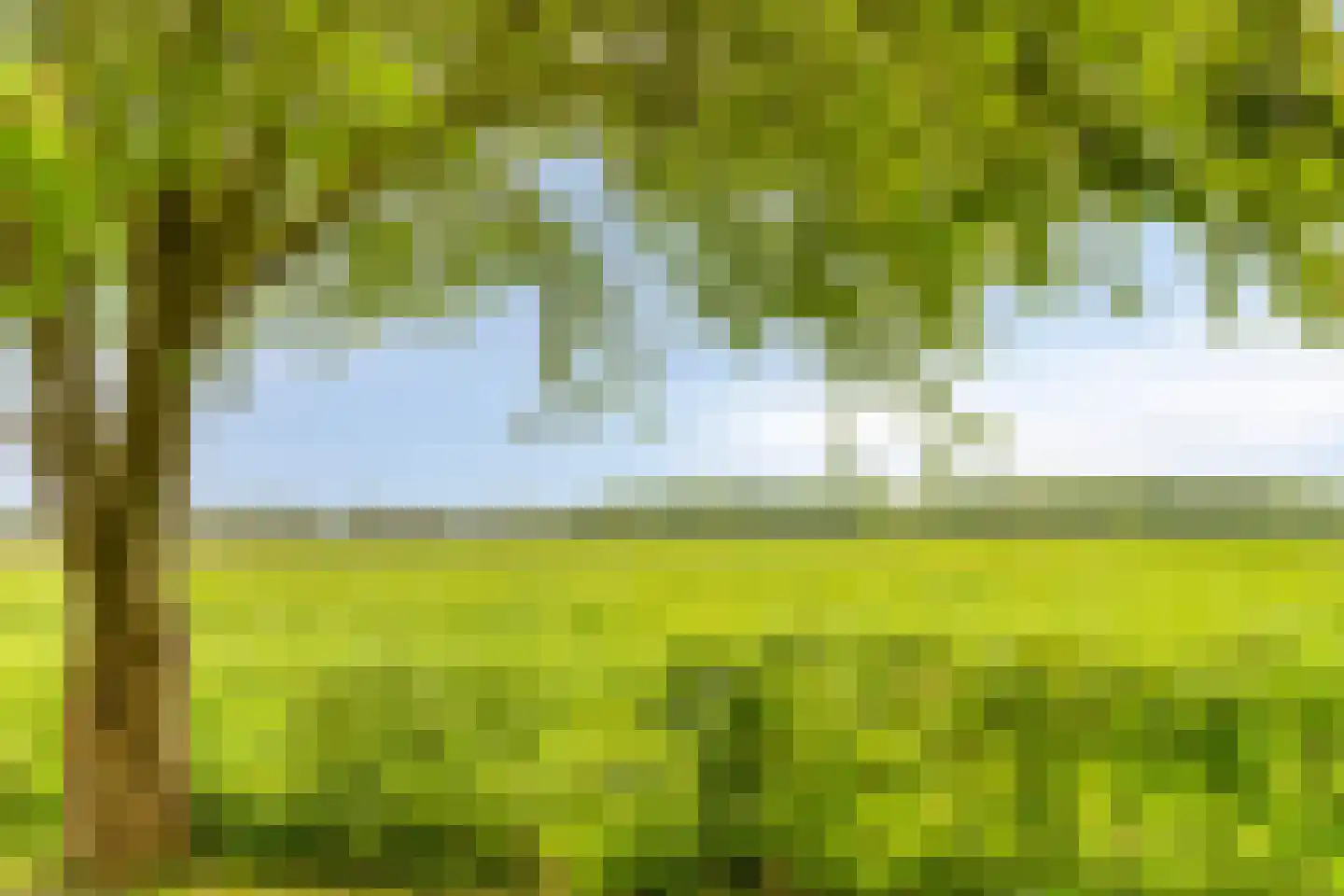 Kalkwijk 46 A Hoogezand thumbnail 41
