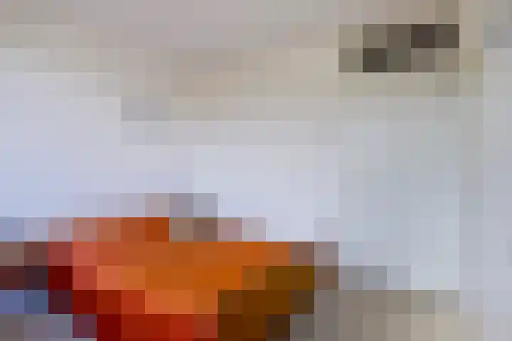 Kalkwijk 5 Hoogezand thumbnail 33