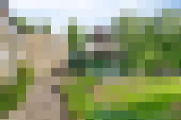 Kalkwijk 5 Hoogezand thumbnail 36