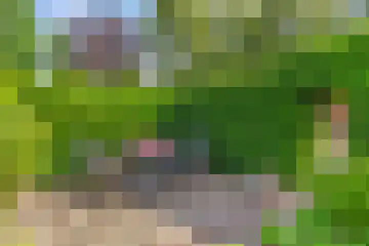 Kalkwijk 5 Hoogezand thumbnail 37