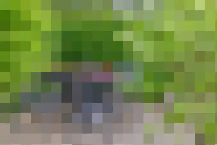 Kalkwijk 5 Hoogezand thumbnail 38