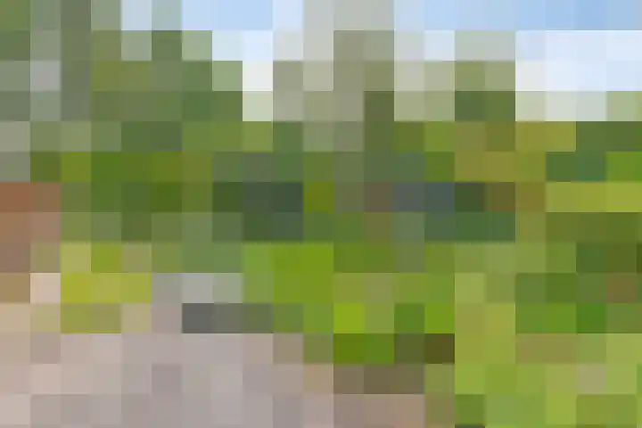 Kalkwijk 5 Hoogezand thumbnail 39