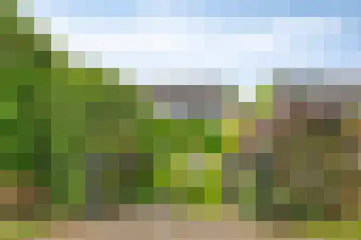 Kalkwijk 5 Hoogezand thumbnail 4