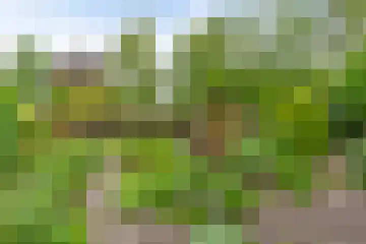 Kalkwijk 5 Hoogezand thumbnail 41