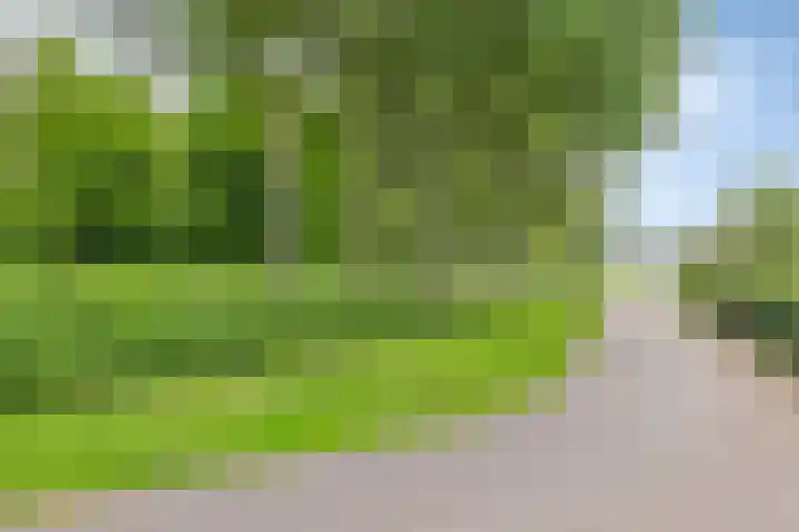Kalkwijk 5 Hoogezand thumbnail 43