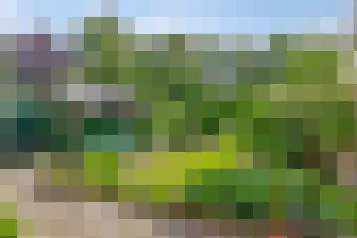 Kalkwijk 5 Hoogezand thumbnail 5