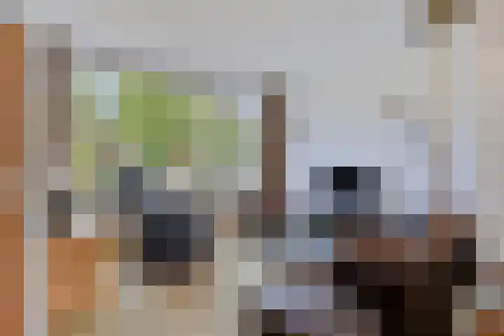 Kalkwijk 5 Hoogezand thumbnail 8