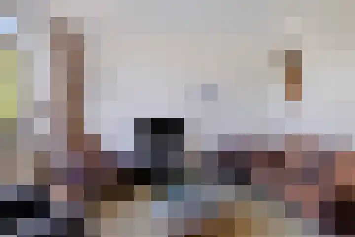Kalkwijk 5 Hoogezand thumbnail 9