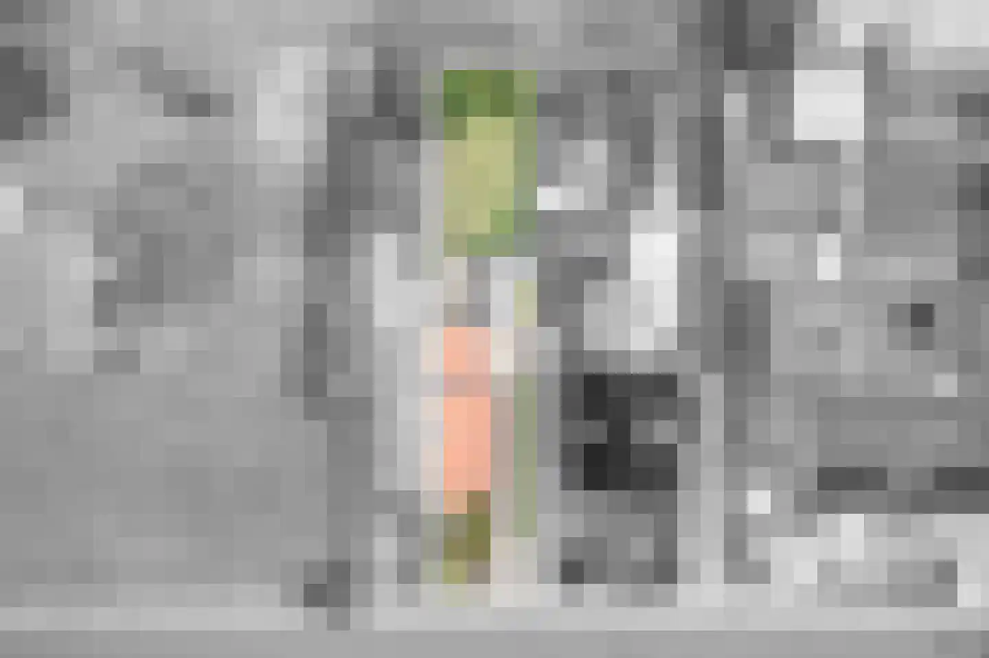 Kalkwijk 91 Hoogezand thumbnail 4