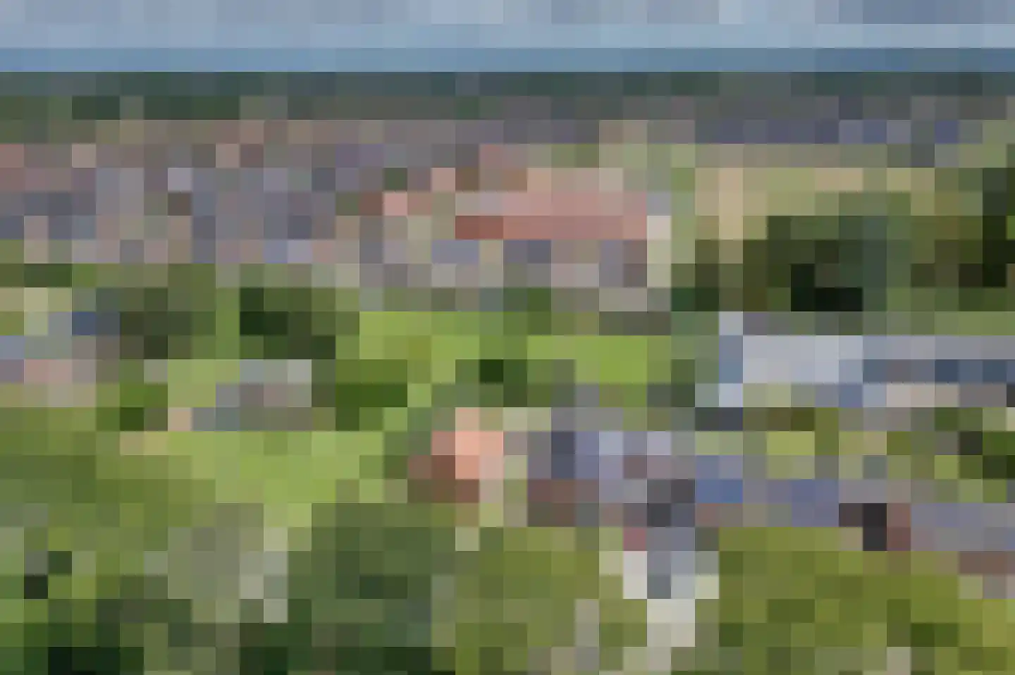 Kalkwijk 91 Hoogezand thumbnail 7