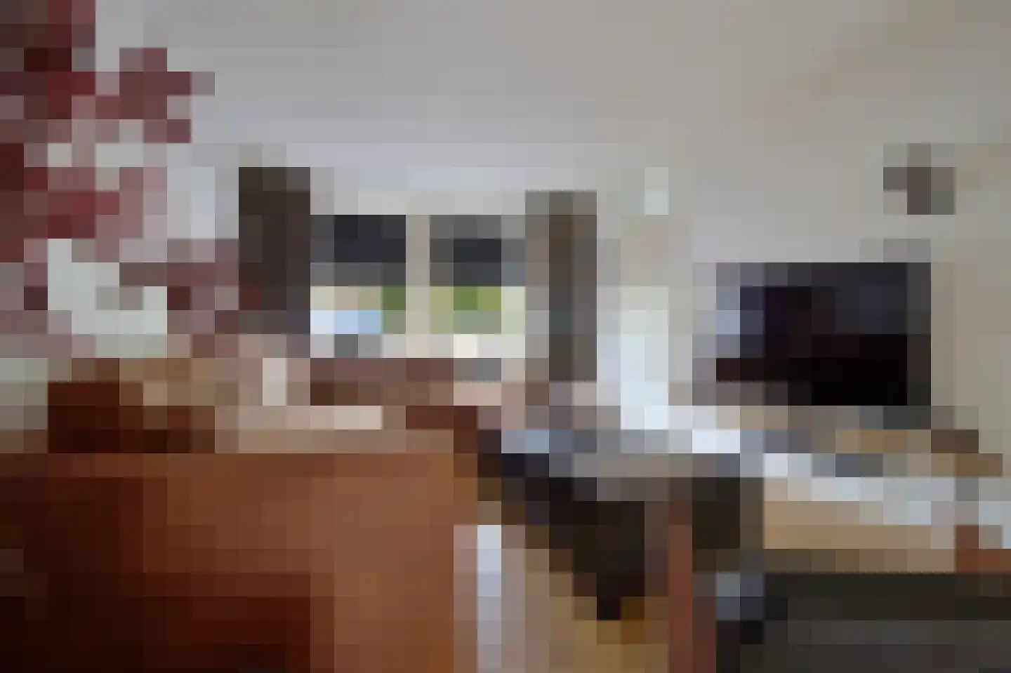 Kalkwijkstraat 6 Tilburg thumbnail 6