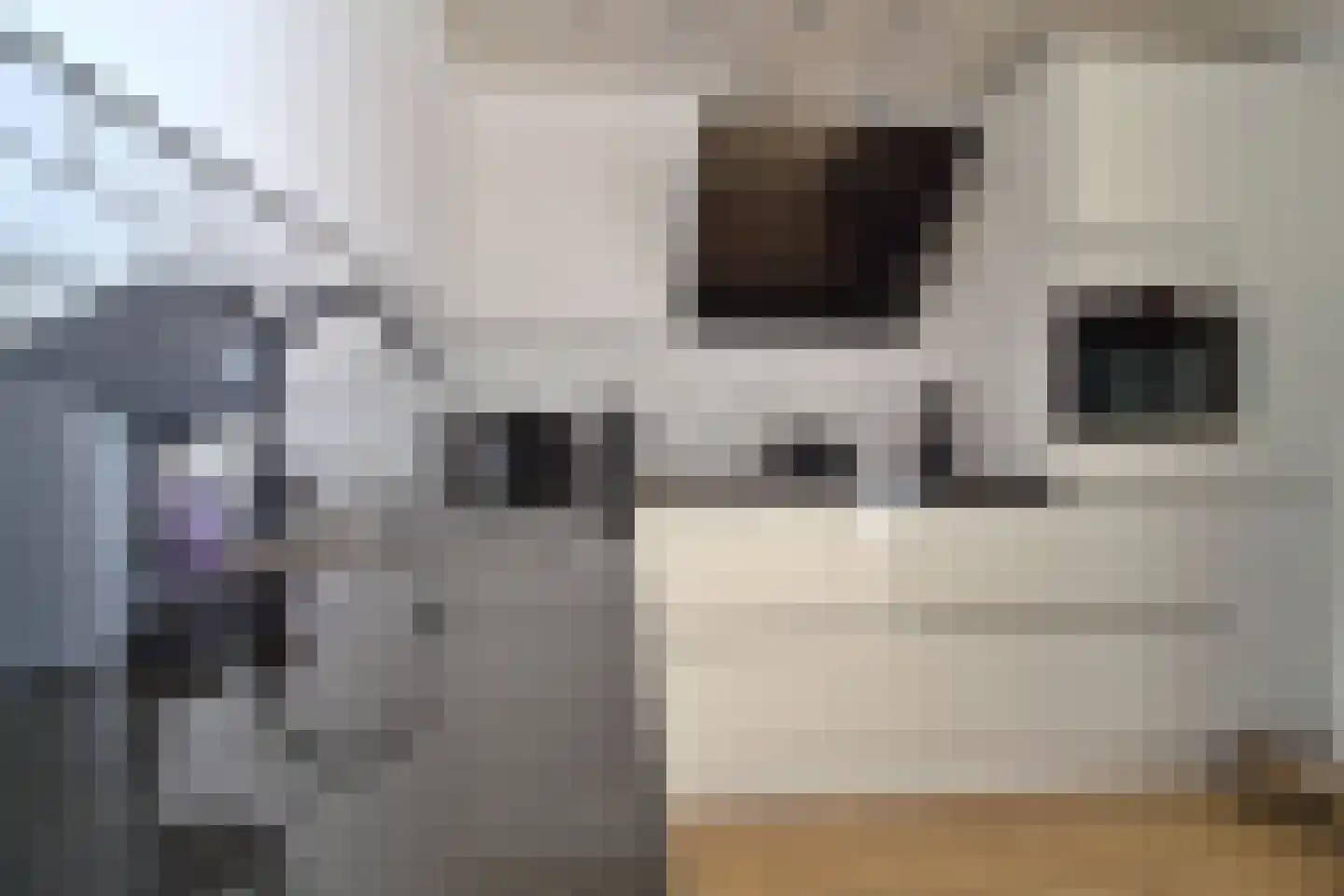 Kalkwijkstraat 6 Tilburg thumbnail 9