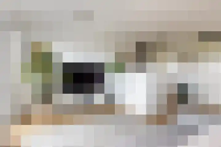 Kallameer 110 Woerden thumbnail 10